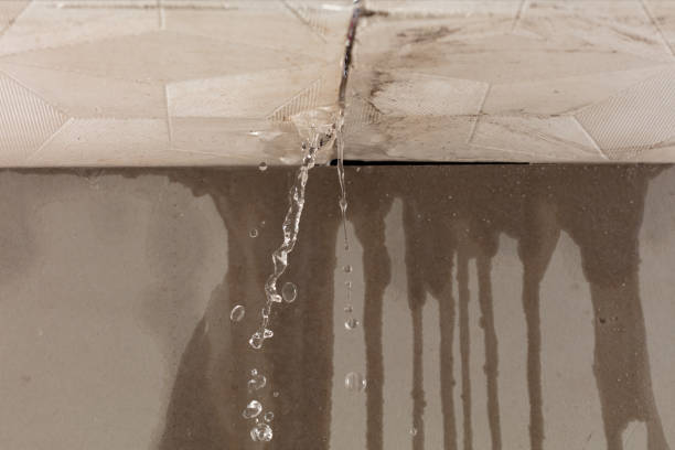 Professional Water Damage Repair technician working in Waterford, MI
